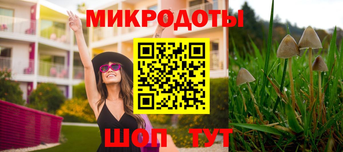 Псилоцибиновые грибы мухоморы  Вход с VPN  Кулебаки 